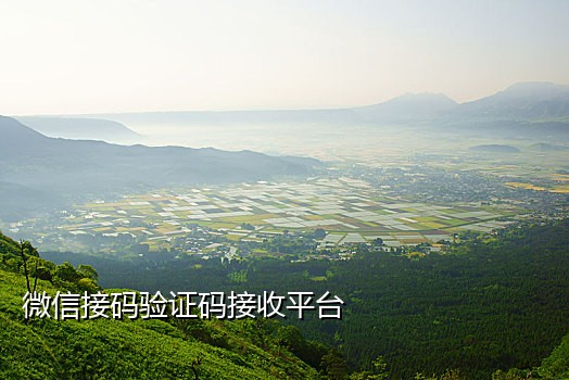 芒果接码平台手机版