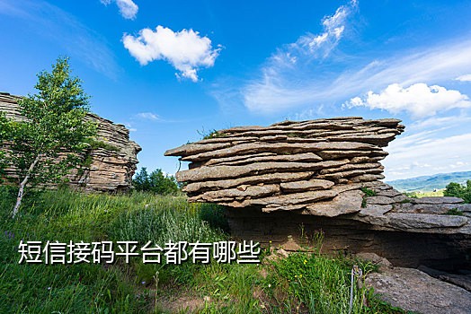 蚂蚁手机接码平台