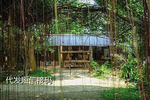 临时短信验证码平台接不到