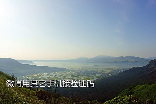 快手语音接码