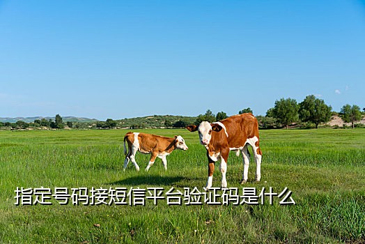 快手新号接码流程图解