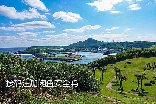 快手王卡注册接码平台