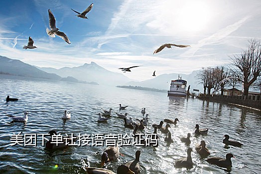快手看直播接验证码