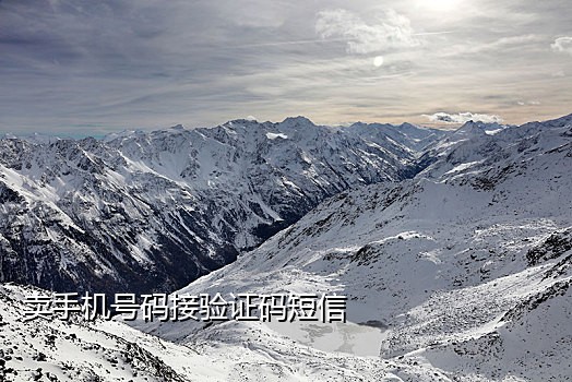 巨牛接码手机号好不好
