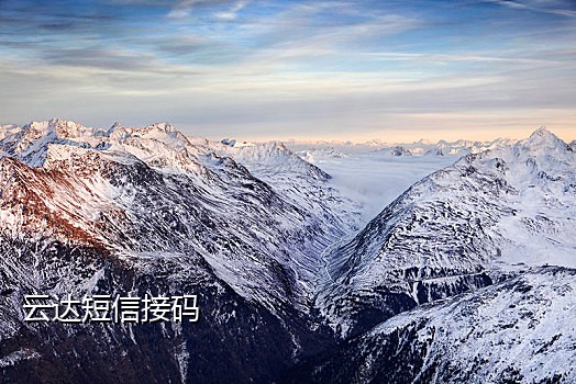 京东淘宝抖音接码拉新结果