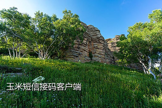 可以接新浪微博的码