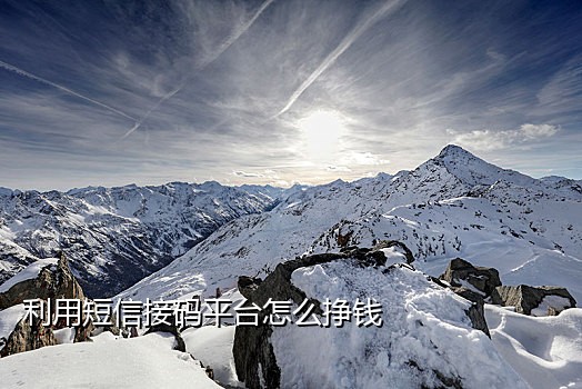 可以接微博注册的接码平台