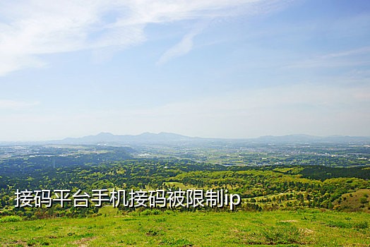接码手机平台