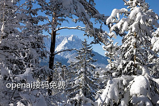 接码平台最新手机版