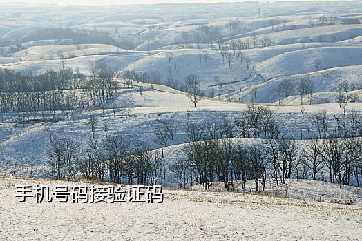 接码平台找回手机号