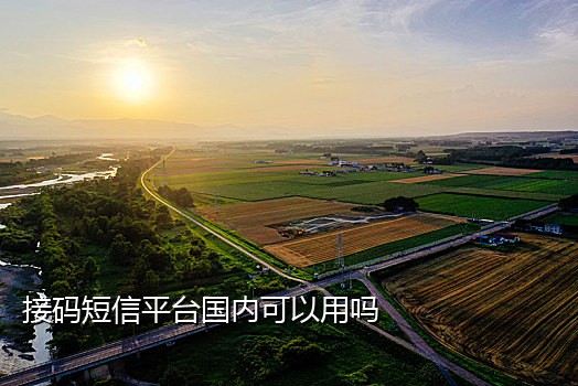 接码平台手机接码被限制ip