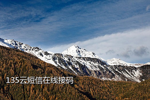 接码平台苹果客户端