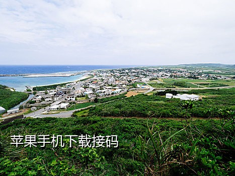 接码平台没微信项目了