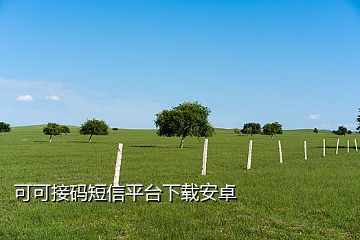 可接打电话可扫码的手机