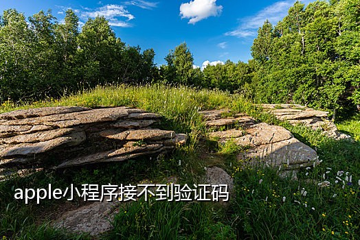 接码短信软件推荐苹果系统