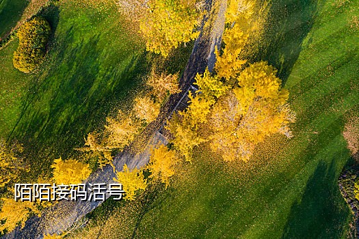 接码短信平台怎么用