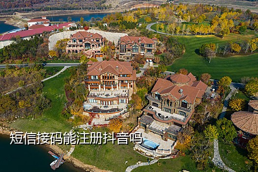 接码短信平台网址是多少