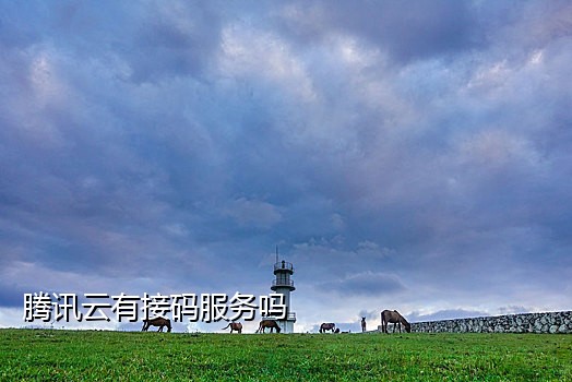 开发云接码手机