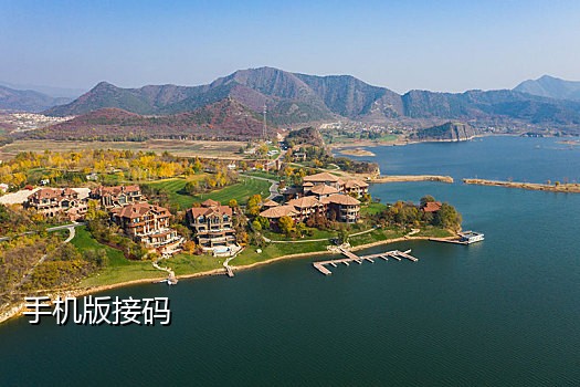 接码大众点评账号异常