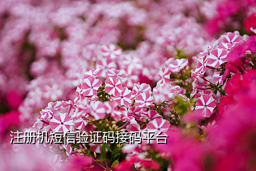 黄码接码发了短信要多久变绿