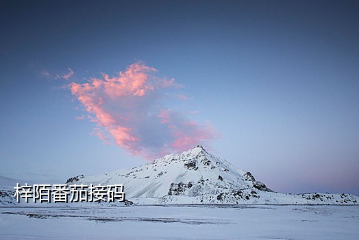 和我信接码QQ群