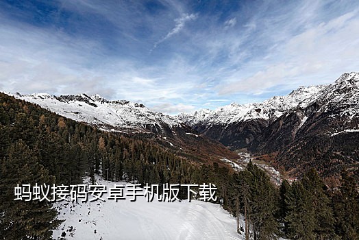 国外手机短信接码