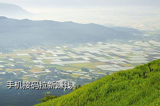 京东手机号接码和兑换码