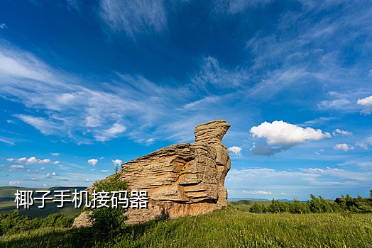 改我密保手机说是接码