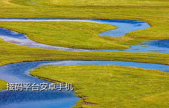 副号怎么接主号短信验证码