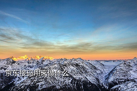 番茄接码平台手机版