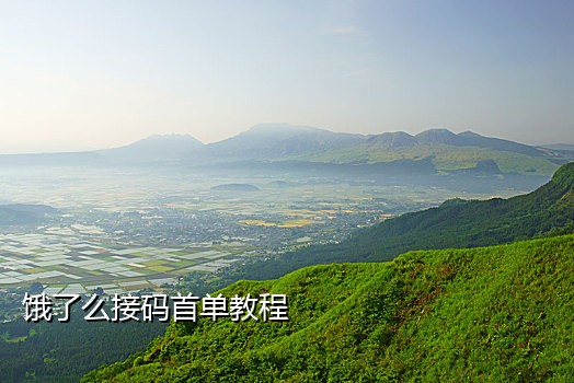 短租接码平台客服qq