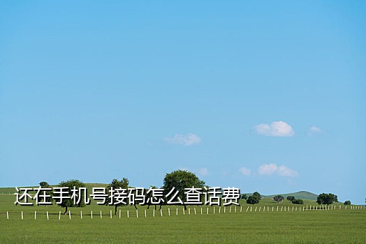 短信接码怎么赚钱