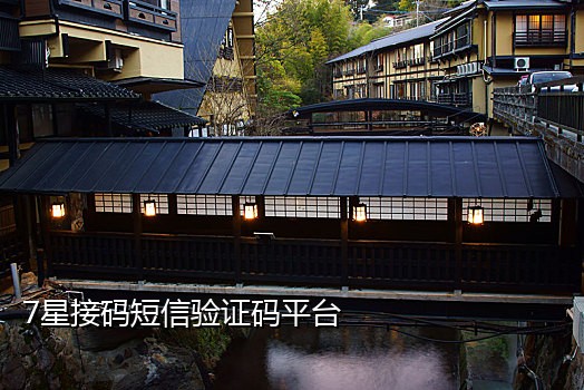 短信接码收费平台电话