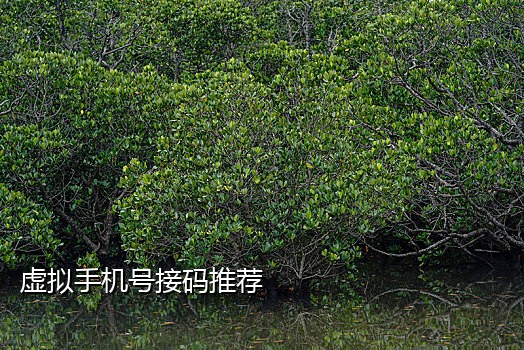 短信接码平台网站源码