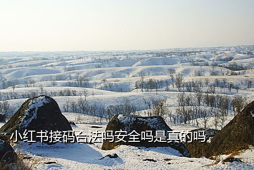 短信接码平台是干啥的