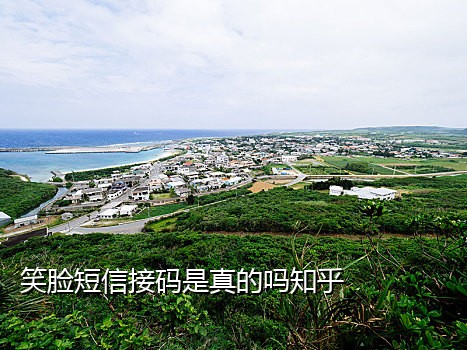 京东接码什么意思