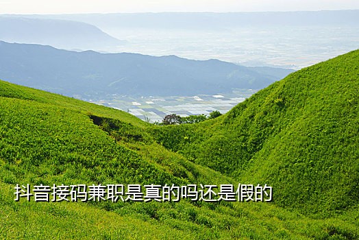 短信接码代码怎么弄