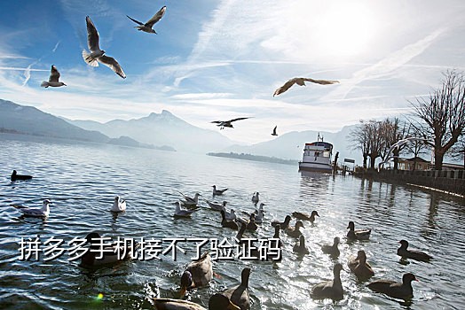短信api接码平台