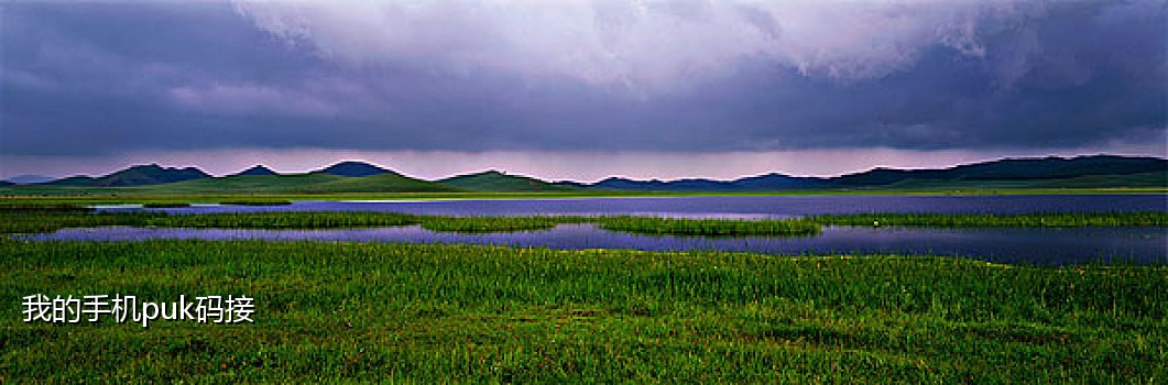 点券手机卡接码