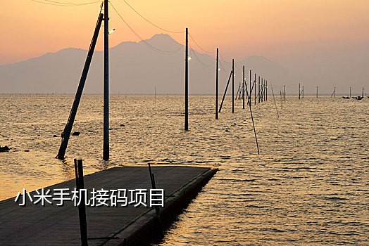 代接美团外卖验证码