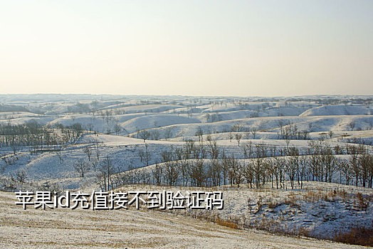从接码平台买手机号
