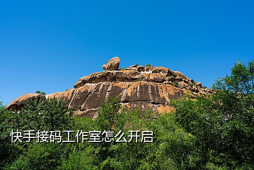 百度阅读接码