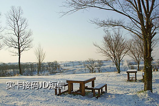 京东抖音接码拉新