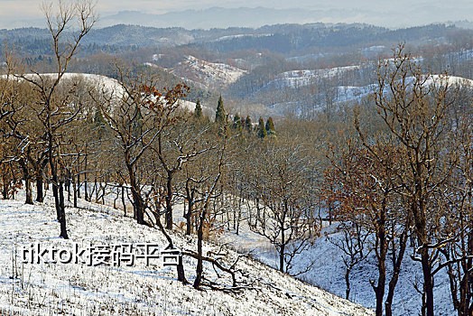 筋斗云短信接码