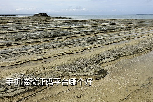 dz接码平台手机