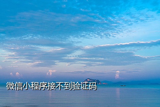 app接不到短信验证码