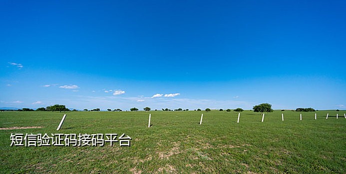 51短信接码平台