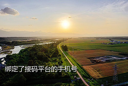 2020最新接码平台手机app