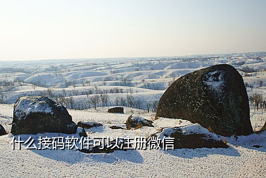 自己手机号在接码平台