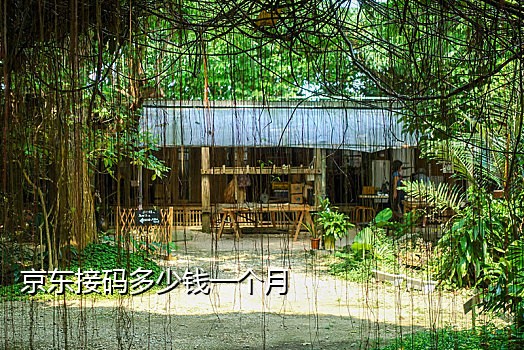 自己的手机号可以接码吗
